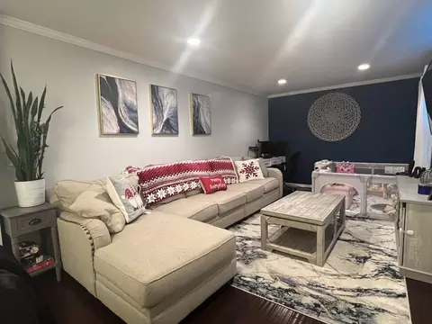 Living - 21161 W Covington Dr, Plainfield, IL 60544 photo 4 of 5