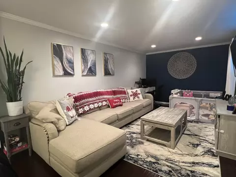 Living - 21161 W Covington Dr, Plainfield, IL 60544 photo 3 of 5
