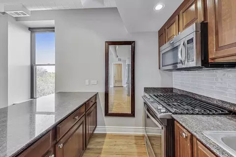 811 S Lytle St #301, Chicago, IL 60607 photo 34