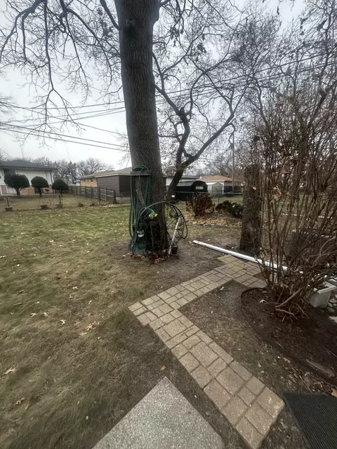 14818 Dobson Ave, Dolton, IL 60419 photo 20