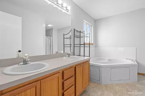 Bath - 1505 Meyer Ct, Plainfield, IL 60586 photo 2 of 4