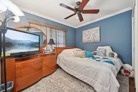 Bedroom - 16767 Hazelwood Dr, Plainfield, IL 60586 photo 4 of 4