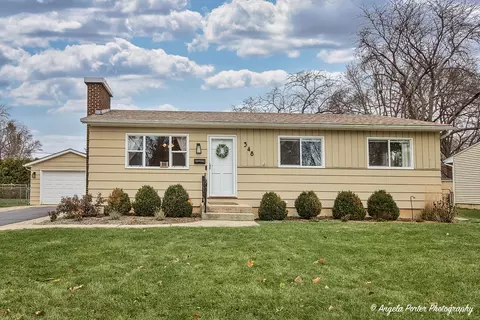 348 Alma Ter, Cary, IL 60013