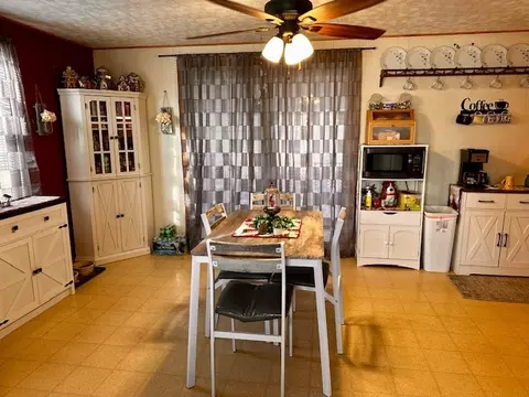 3927 E 769th Rd, Triumph, IL 61371 photo 2