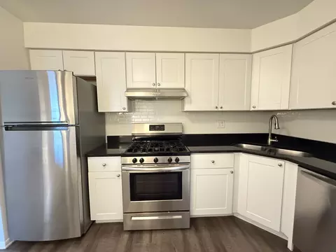 Kitchen - 197 Gregory St #13, Aurora, IL 60504 photo 2 of 3