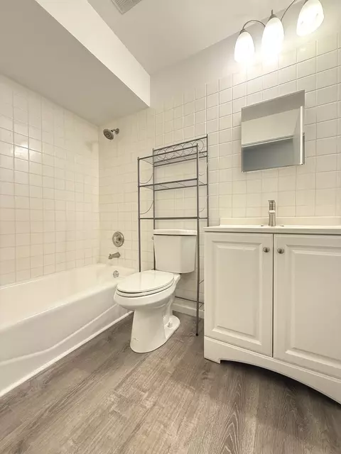 Bath - 197 Gregory St #13, Aurora, IL 60504 photo 1 of 2