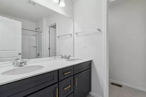 Bath - 12401 S Meridian Ln, Plainfield, IL 60585 photo 5 of 6