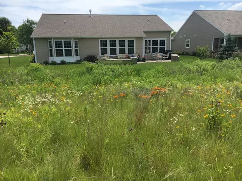 Exterior - 2425 Cape Cod Cir, Elgin, IL 60124 photo 9 of 12