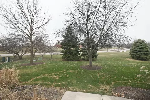13022 Conifer St #1, Plainfield, IL 60585 photo 29