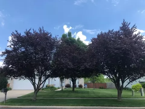 2585 Cambridge Dr, Morris, IL 60450 photo 38