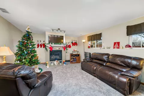 2585 Cambridge Dr, Morris, IL 60450 photo 22