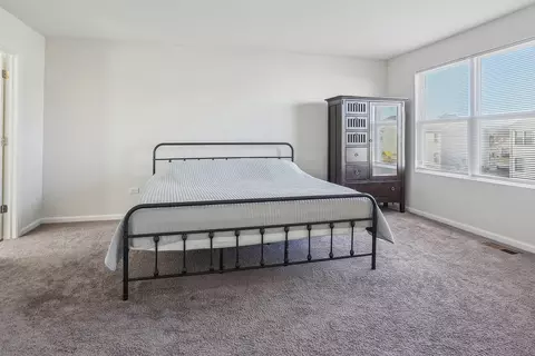 1009 Sharp Dr, Plano, IL 60545 photo 4