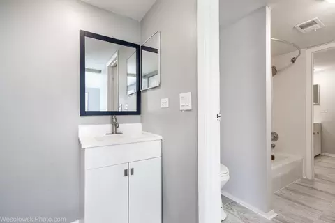 Bath - 1704 Fayette Walk #E, Hoffman Estates, IL 60169 photo 3 of 3