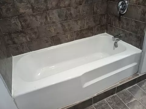 Bath - 839 E 87th Pl, Chicago, IL 60619 photo 2 of 4