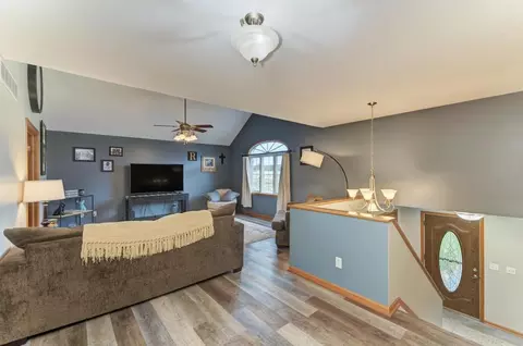 1046 Madison Ave, Braidwood, IL 60408 photo 3