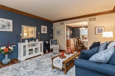 1316 E Gartner Rd, Naperville, IL 60540 photo 5