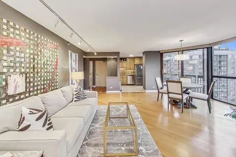 Living - 33 W Delaware Pl #9K, Chicago, IL 60610 photo 3 of 3