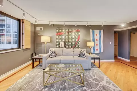 Living - 33 W Delaware Pl #9K, Chicago, IL 60610 photo 2 of 3
