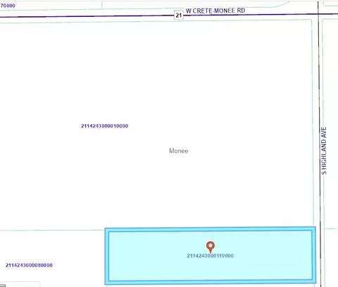 26128 Highland Ave, Monee, IL 60449 photo 4