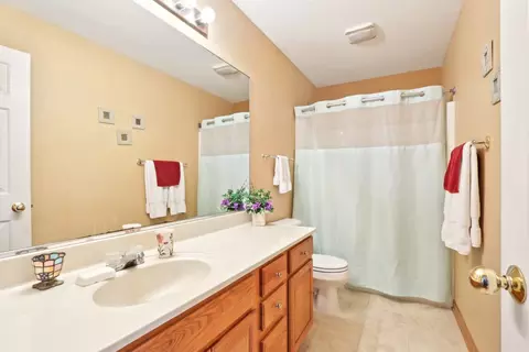 Bath - 25713 S Truman St, Monee, IL 60449 photo 2 of 2