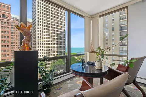 100 E Bellevue Pl #8A, Chicago, IL 60611 photo 6