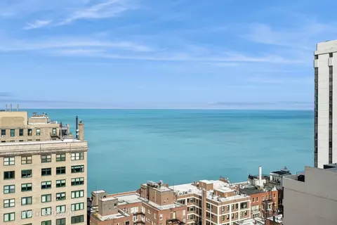 200 E Delaware Pl #28B, Chicago, IL 60611 photo 21