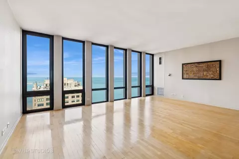200 E Delaware Pl #28B, Chicago, IL 60611 photo 6