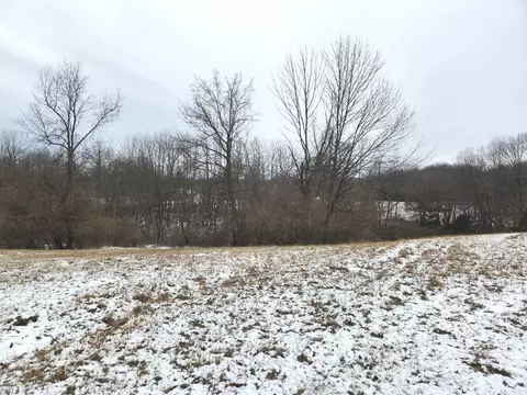 lot1028 Plum Cir, Varna, IL 61375