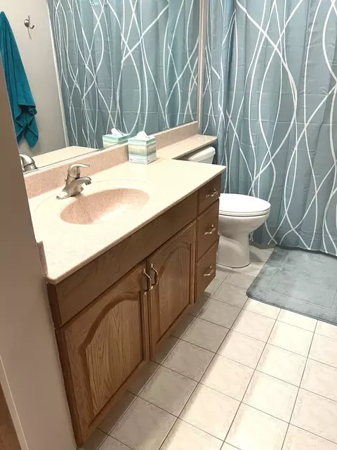 Bath - 717 Berwick Pl, Roselle, IL 60172 photo 3 of 4