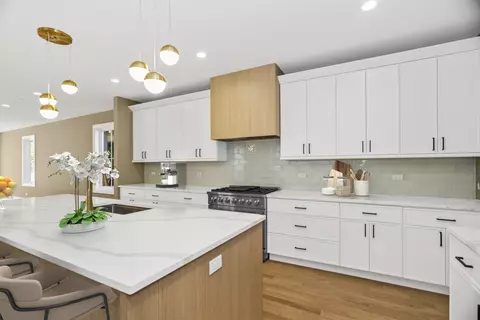 1132 Pitner Ave, Evanston, IL 60202 photo 4