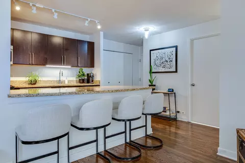 Kitchen - 222 E Pearson St #609, Chicago, IL 60611 photo 5 of 7