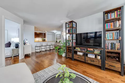 Living - 222 E Pearson St #609, Chicago, IL 60611 photo 4 of 6