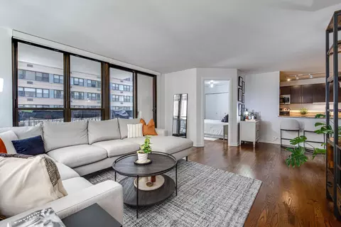 Living - 222 E Pearson St #609, Chicago, IL 60611 photo 3 of 6