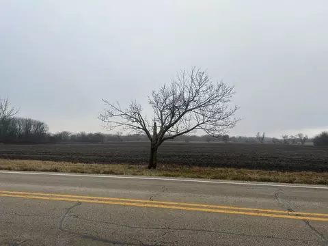 70 Acres Galligan Rd, Gilberts, IL 60136