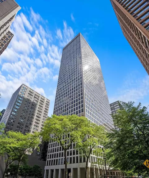260 E Chestnut St #1811, Chicago, IL 60611