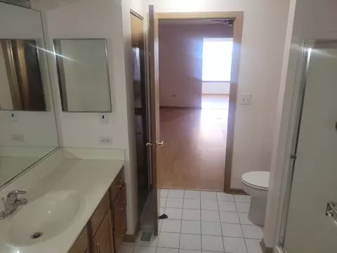 Bath - 1722 Willow Circle Dr, Crest Hill, IL 60403 photo 3 of 3