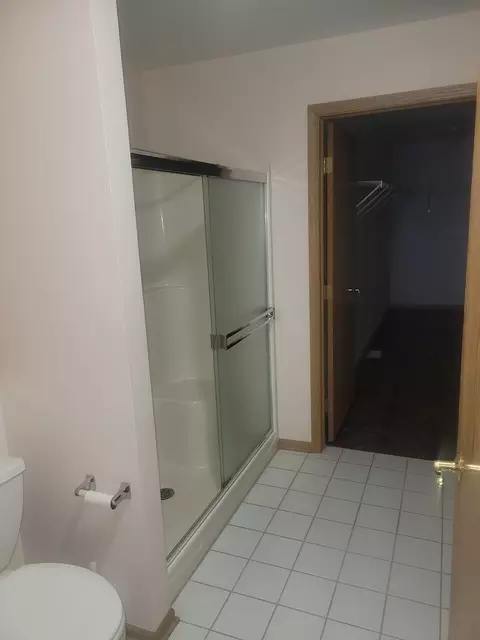 Bath - 1722 Willow Circle Dr, Crest Hill, IL 60403 photo 2 of 3