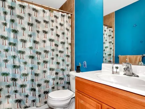 Bath - 26045 S Countyfair Dr, Monee, IL 60449 photo 2 of 2