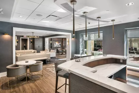 57 E Delaware Pl #2103, Chicago, IL 60611 photo 28