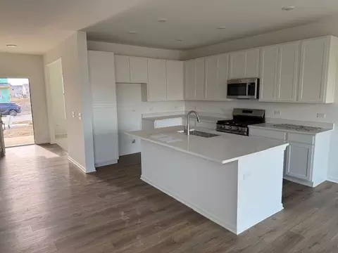 202 Rhinebeck Way, Algonquin, IL 60102 photo 5