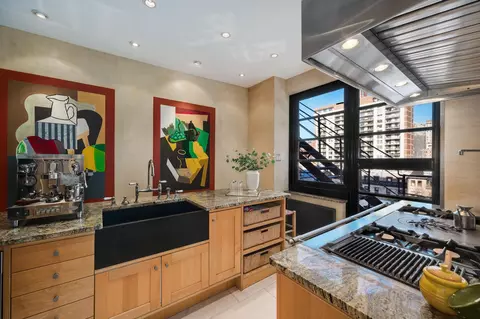70 E Cedar St #7E, Chicago, IL 60611 photo 9