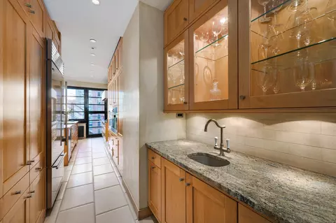 70 E Cedar St #7E, Chicago, IL 60611 photo 14