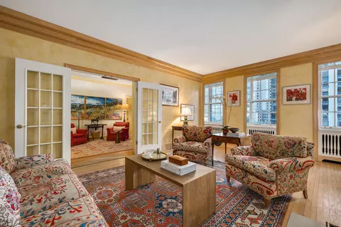 70 E Cedar St #7E, Chicago, IL 60611 photo 7