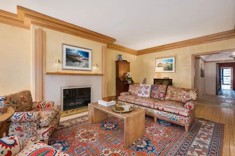 70 E Cedar St #7E, Chicago, IL 60611 photo 6
