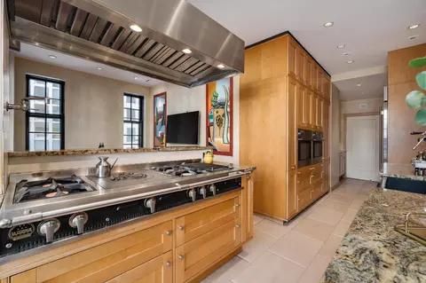 70 E Cedar St #7E, Chicago, IL 60611 photo 10