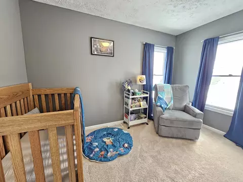 317 E Fourth St, Gridley, IL 61744 photo 28