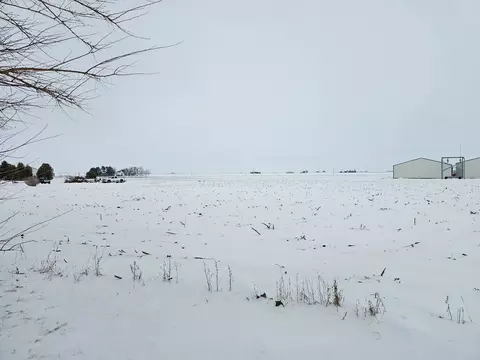 317 E Fourth St, Gridley, IL 61744 photo 9