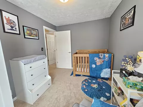 317 E Fourth St, Gridley, IL 61744 photo 29