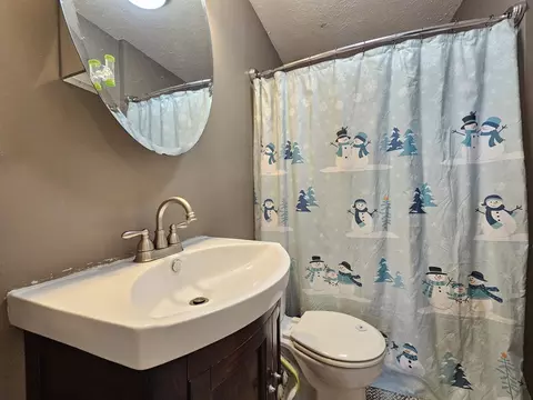 317 E Fourth St, Gridley, IL 61744 photo 25