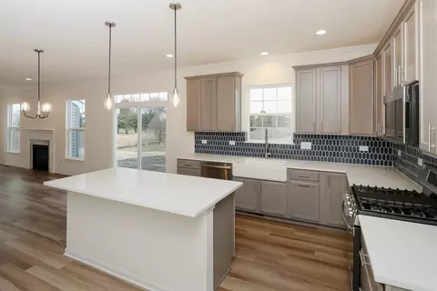 12862 S Kerry Ln, Plainfield, IL 60585 photo 7